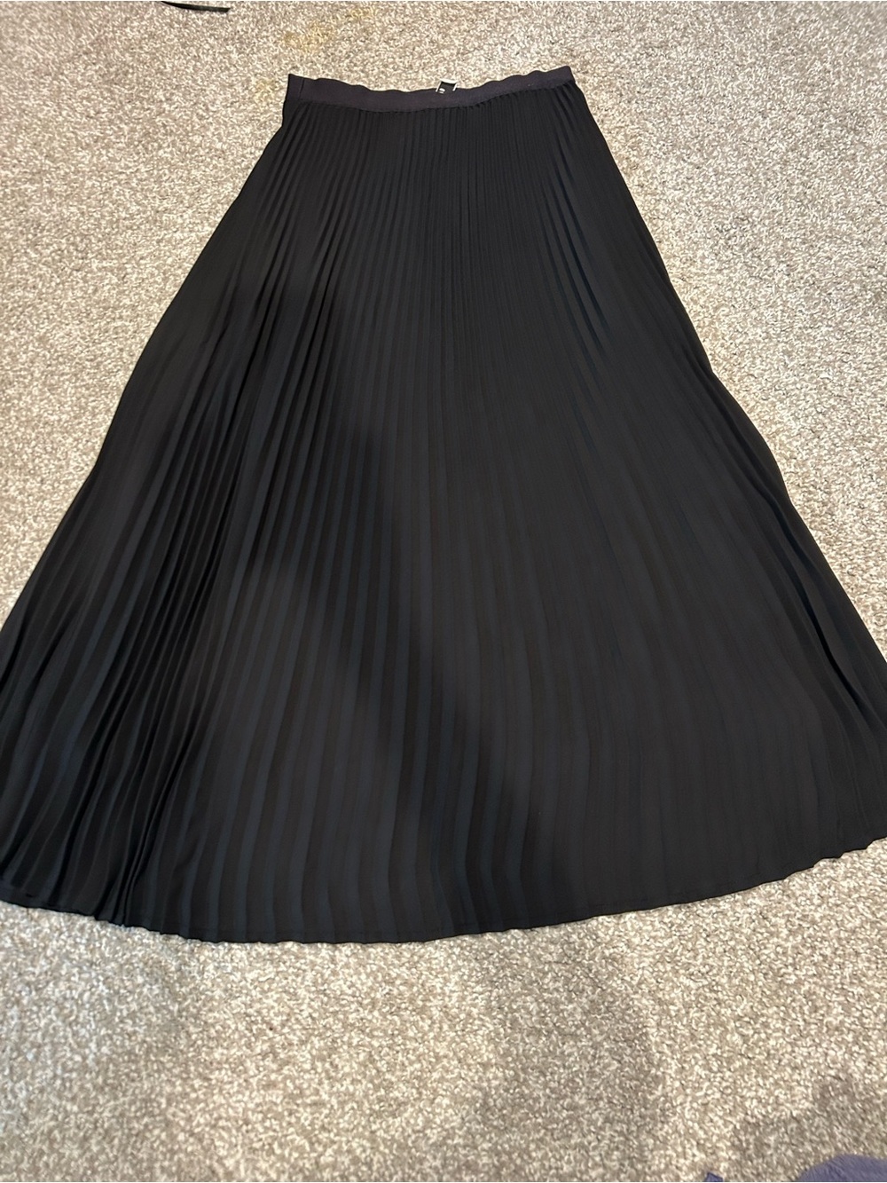 Babaton Black Pleated Circle Skirt